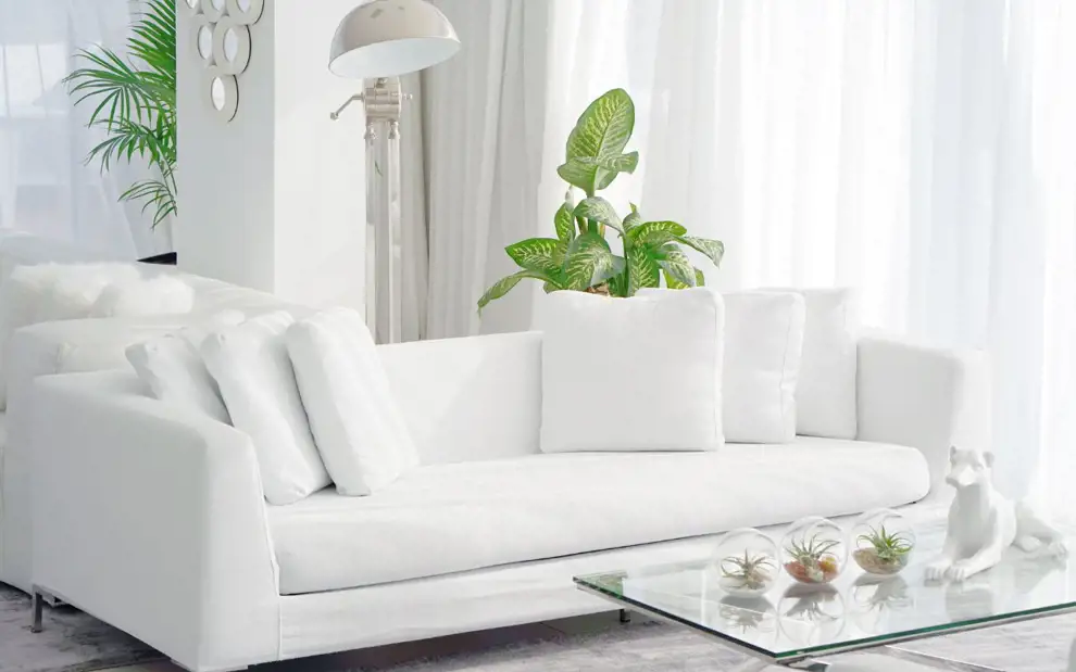 Cómo limpiar la tapicería de un sofá en 3 pasos ¡descúbrelo!