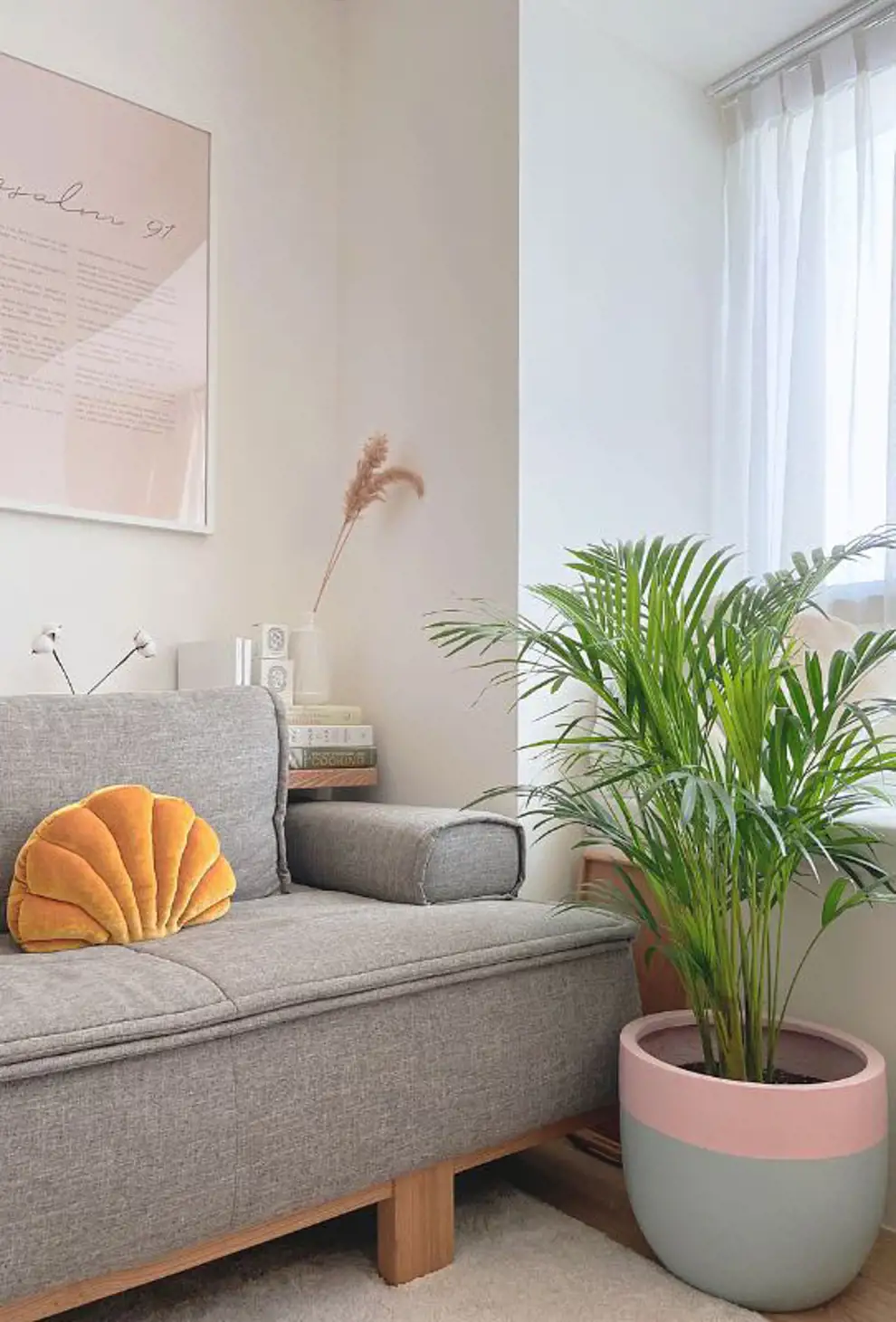 Las 50 plantad de interior más resistentes y fáciles de cuidar: palmera de salón