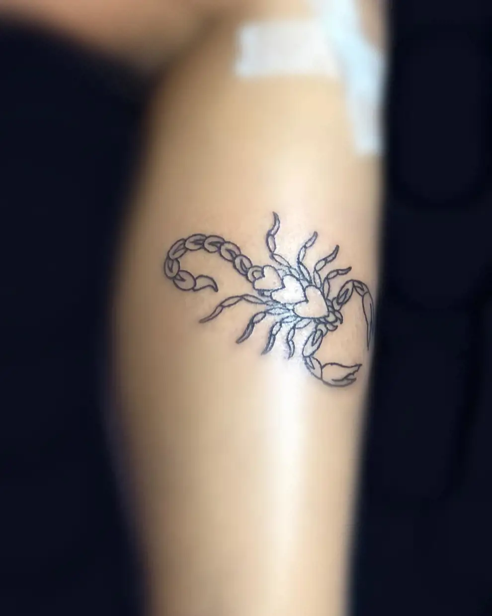 Tatuajes con significado: escorpión