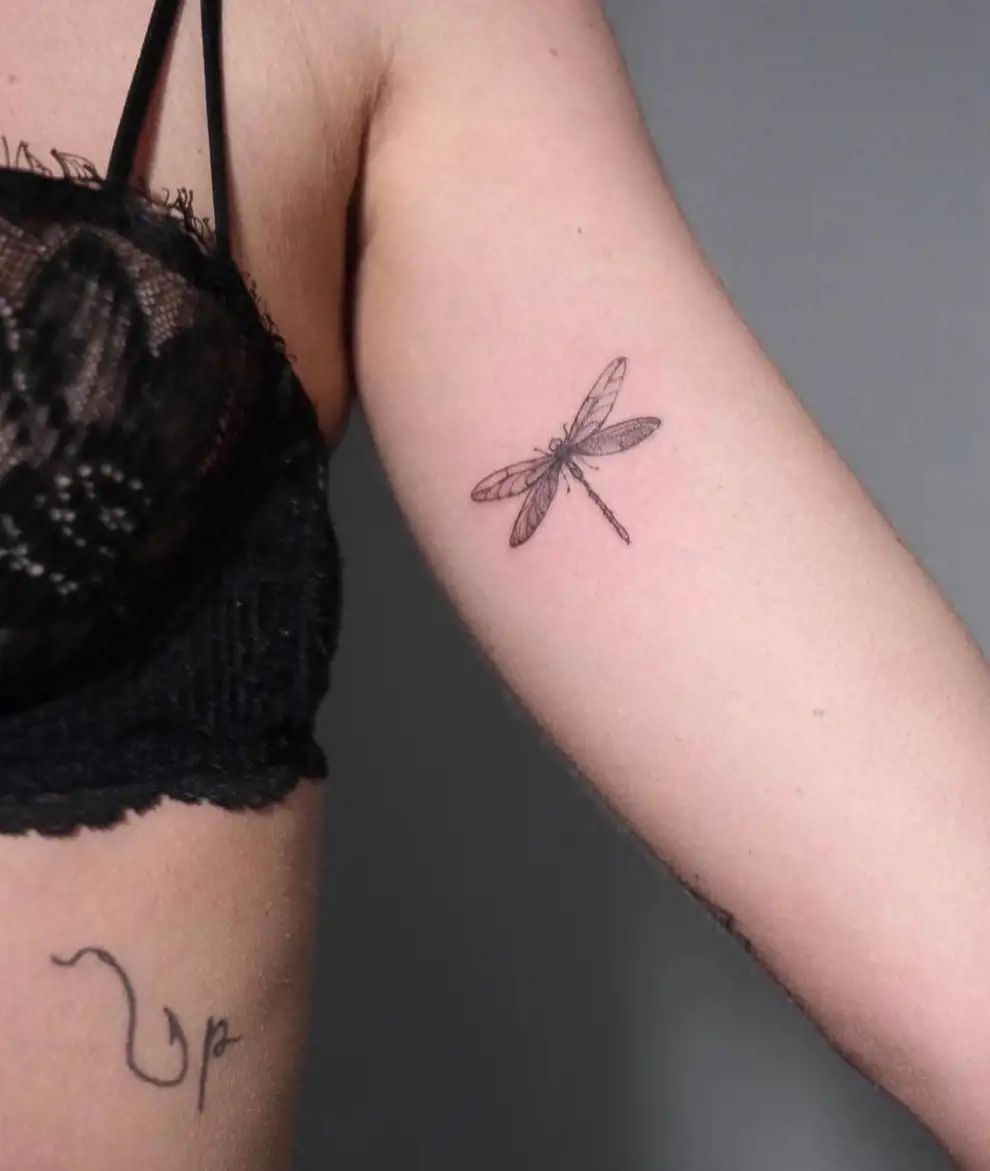 Tatuajes pequeños para mujer: libélula