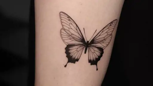 25 tatuajes de mariposa de mujer bonitos y su significado