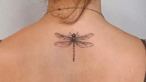 15 tatuajes de buena suerte y protección: libélulas