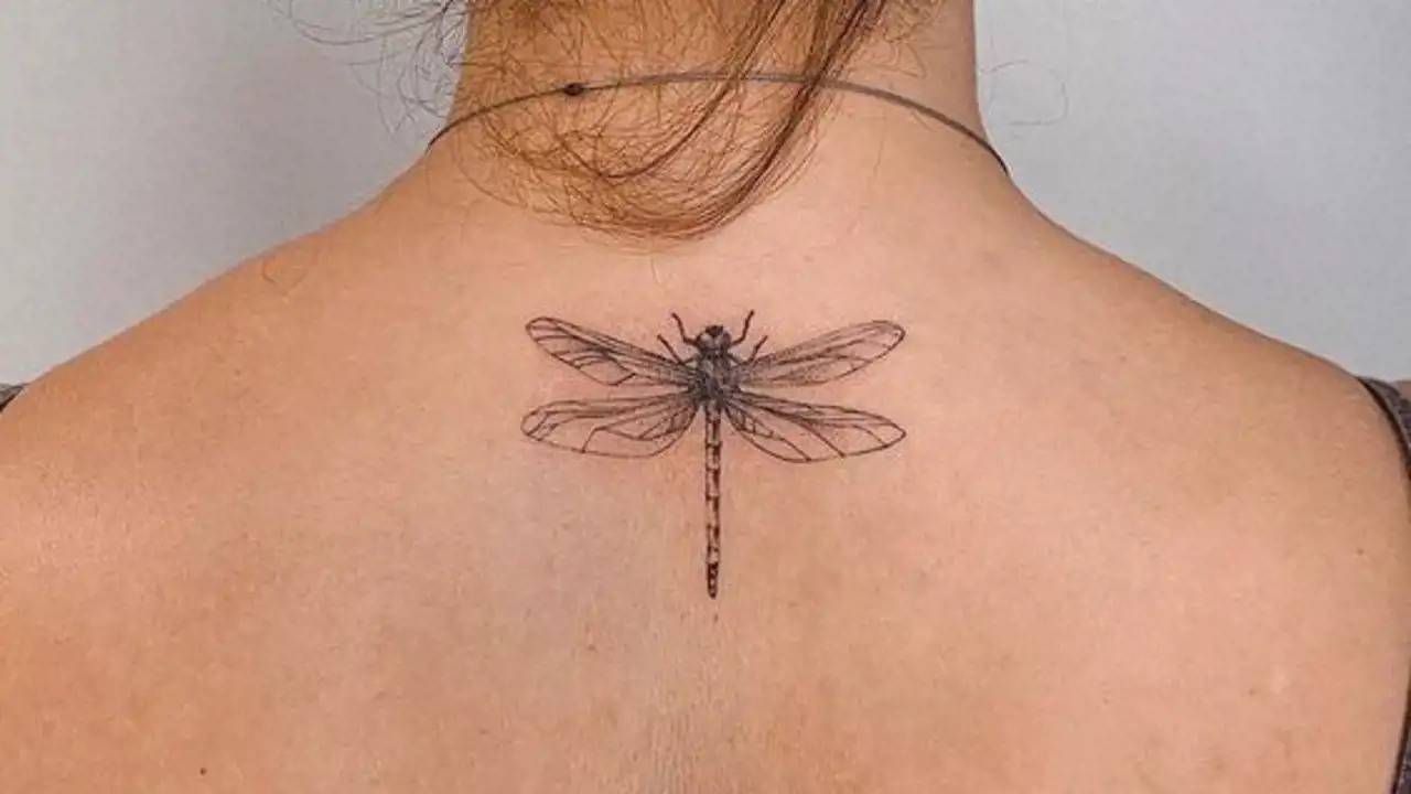 15 tatuajes de buena suerte y protección: libélulas