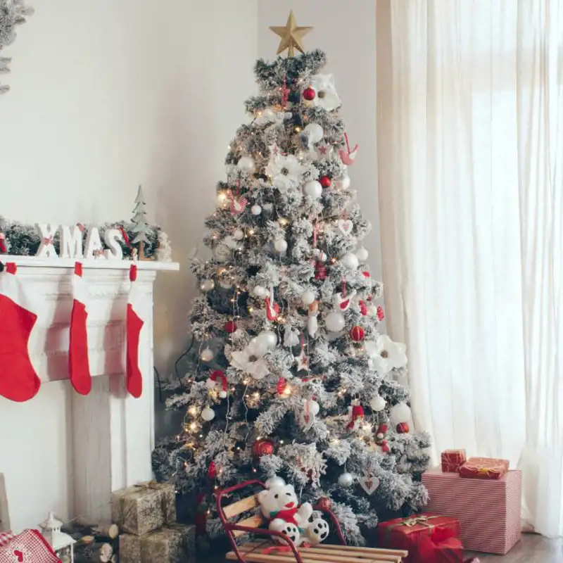 Cuándo poner el árbol de Navidad: los días que recomienda el Feng Shui para tener buena suerte en 2024