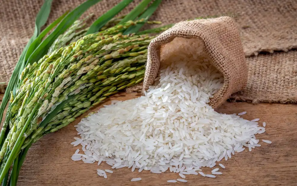 Adornos y cosas que dan buena suerte en casa: granos de arroz