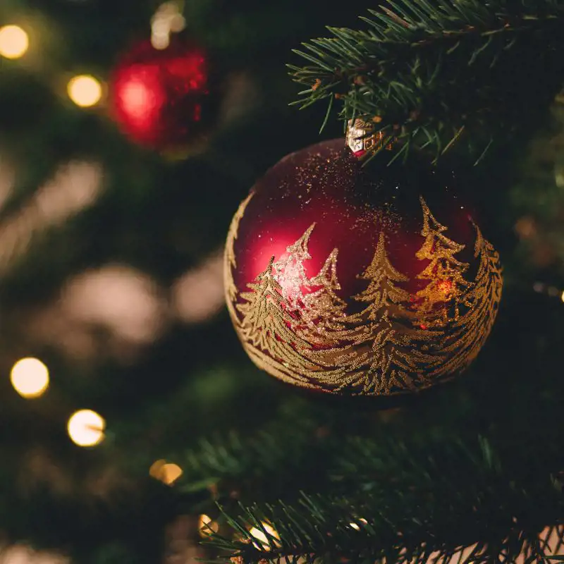 150 frases de Navidad para felicitar las fiestas a los que más quieres