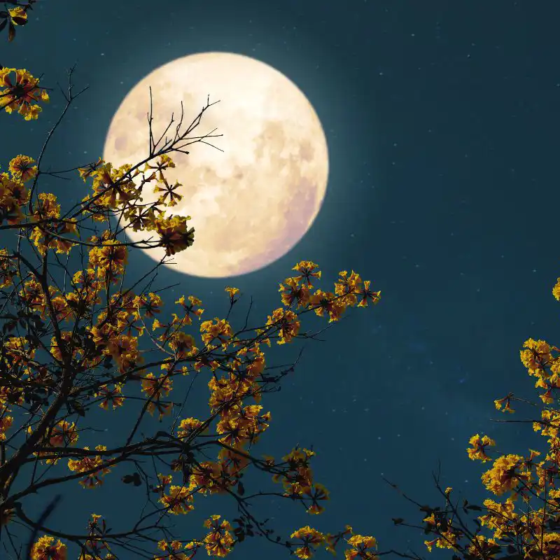 10 rituales de Luna Llena para atraer una pizca suerte, amor y dinero a tu vida una vez al mes